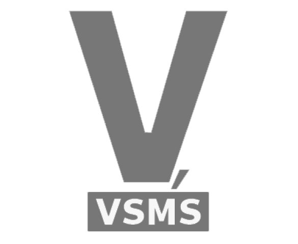 VSMS